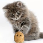 Adorable Cartoon Plush Potato Pet Toy for All Dog Breeds - Soft, Cuddly, No Batteries Required, Perfect for Playful Pups, Dog Toy