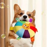c365042f-bb21-4299-ba92-704059be8118-1